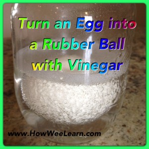 Rubber Egg 1