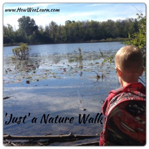 nature walk