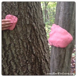 how we learn through a Playdough Nature Walk 