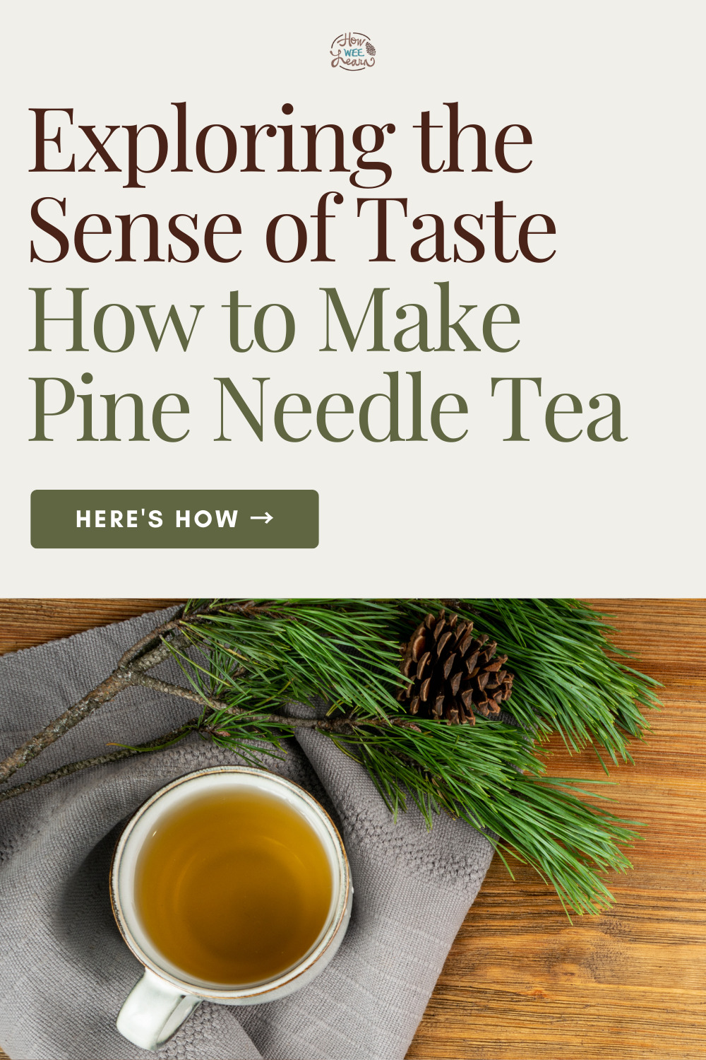 Five Senses Activity: How to Make Pine Needle Tea