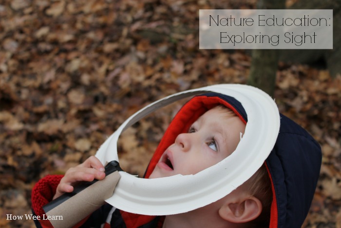 Exploring the sense of sight, one of the five senses, during a nature walk.  