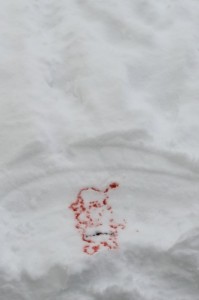 snow painting with kids in winter using an eye dropper