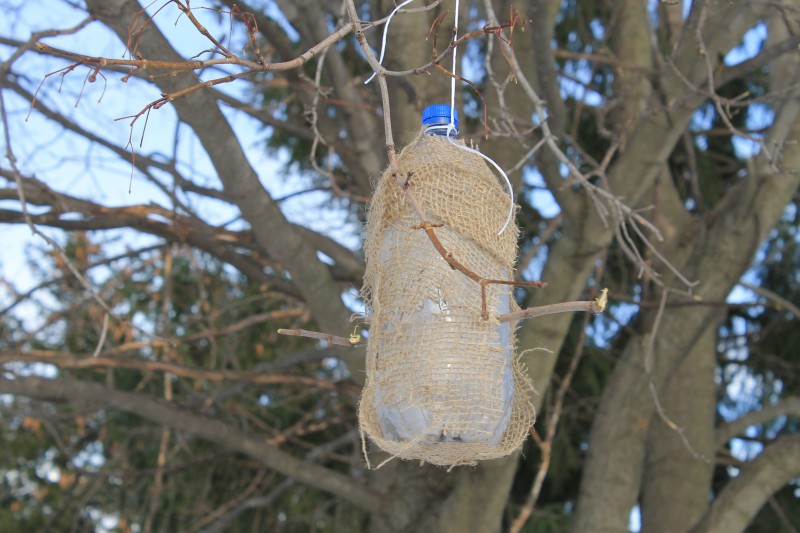 how to make a birdfeeder with kids