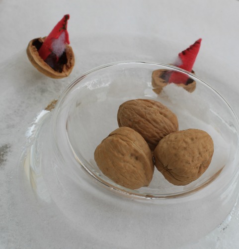 Waldorf gnomes in walnut shell boats