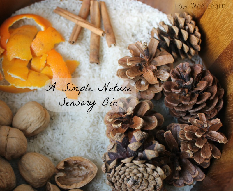 how we learn with a simple nature sensory bin