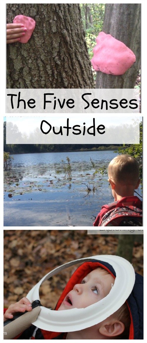 five senses activities for kids