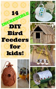 a collection of DIY bird feeders for kids