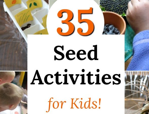 Fun seed activities perfect for kids of all ages, especially preschoolers! Awesome nature learning and science. #science #preschool #nature #seeds #homeschool #learning