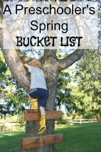 A preschoolers springbucket list