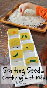 seed activity for kids
