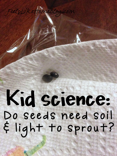science experiments with seeds for kids