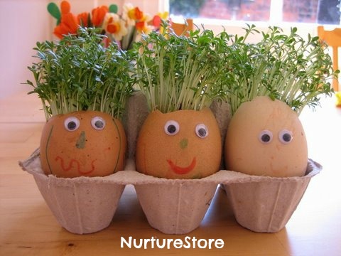 seed activities for kids