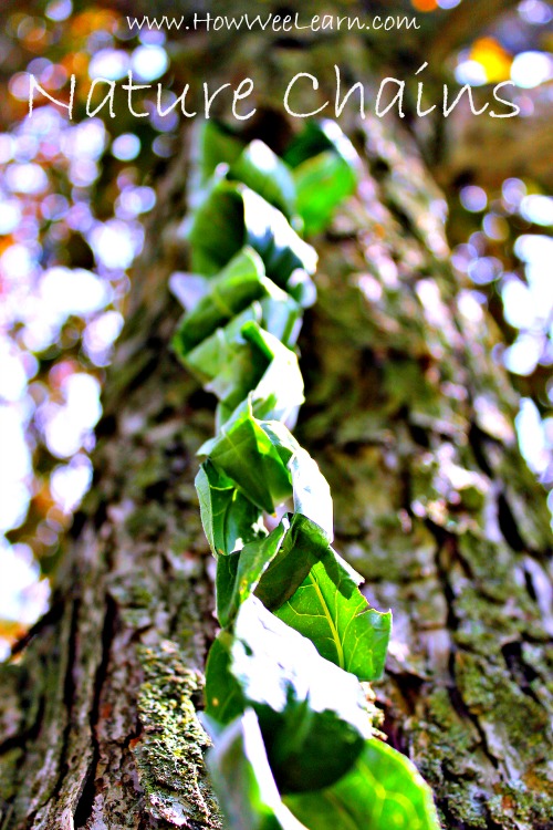 chain made of leaves hanging from a tree
