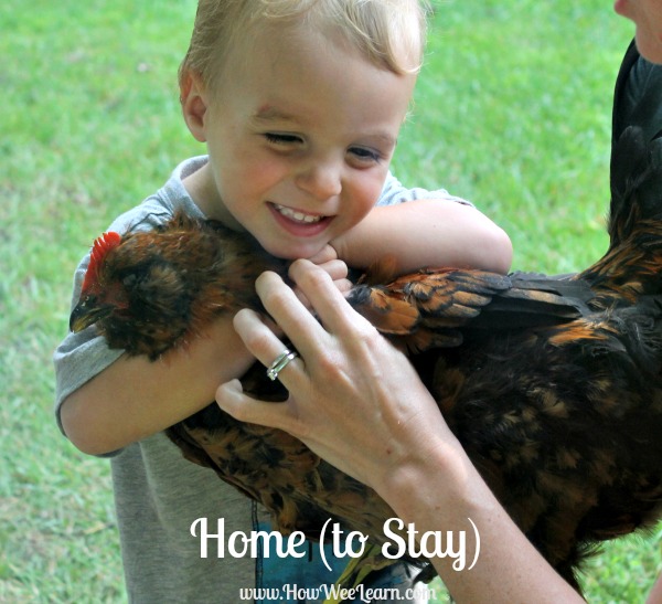 how to hatch chickens with kids