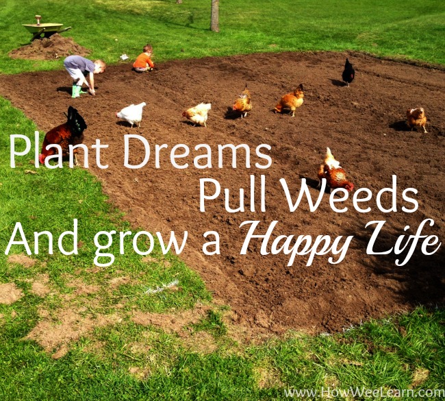 plant dreams, lovely spring garden  quote