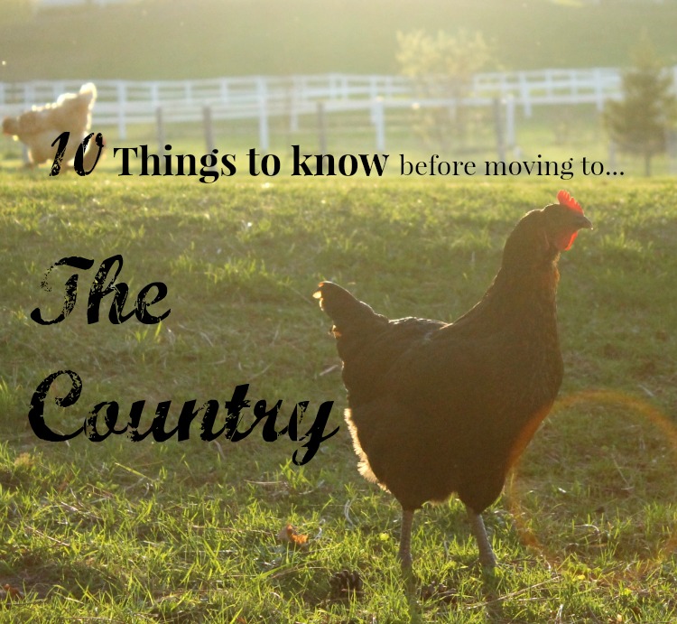 What to know BEFORE moving to the country