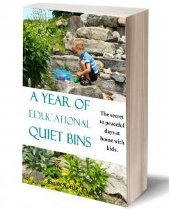 A Year of Educational Quiet Bins