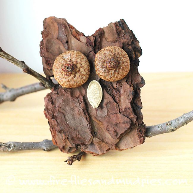 Fall crafts for kids - bark owl