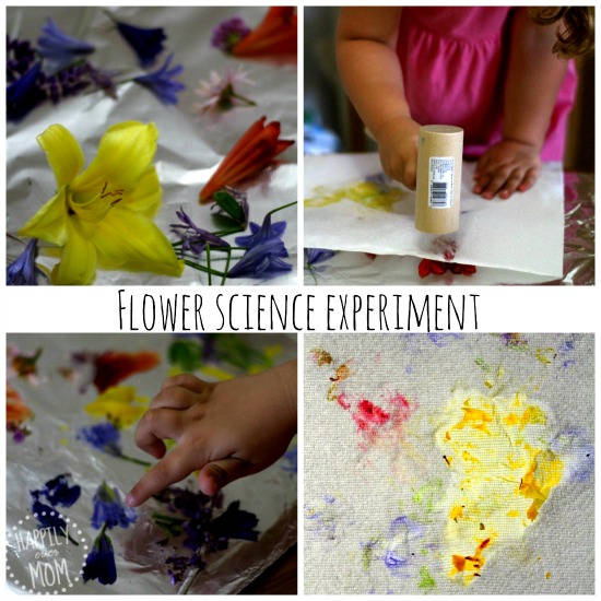 science experiments for preschoolers - flower science
