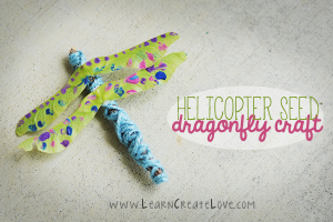 Nature crafts for kids - helicopter seed dragonfly