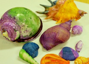 Nature crafts for kids - painting shells