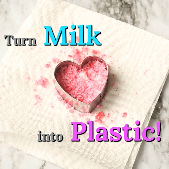 STEM Activity for Kindergarten: Turn Milk into Plastic
