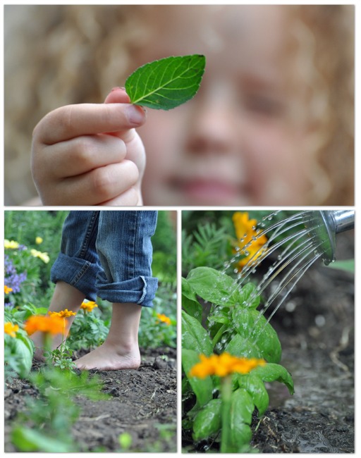 Garden fun - kids picking garden
