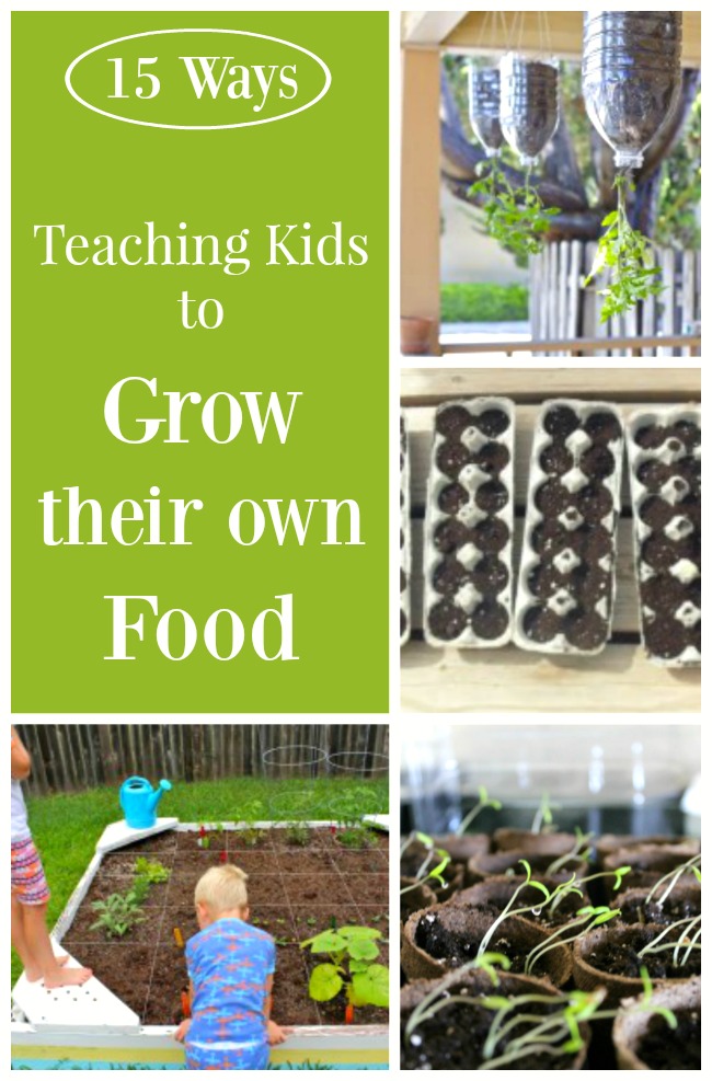 Teaching kids to grow their own food! These are fun gardening activities for kids!