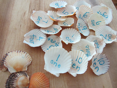 number summer learning - shell number memory