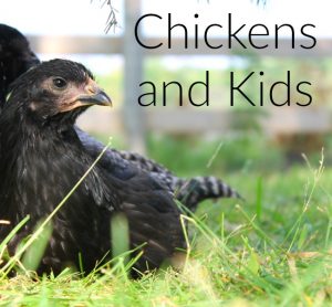 Have you ever thought of raising chickens? THere are some fabulous benefits, especially if you have kids!