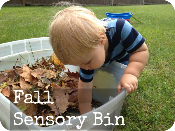 Fall leaves craft - fall sensory bin