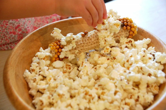 Fall science experiments - corncob popcorn
