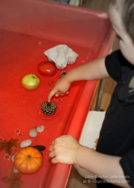 Fall science experiments - fall sink and float