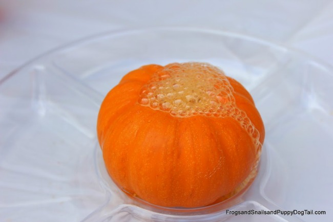 Fall science experiments - fizzing pumpkins