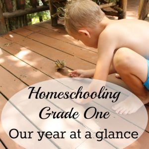 This is our entire year of homeschooling grade one - All details of math, language arts, science, social studies, art and music all with Oak Meadow