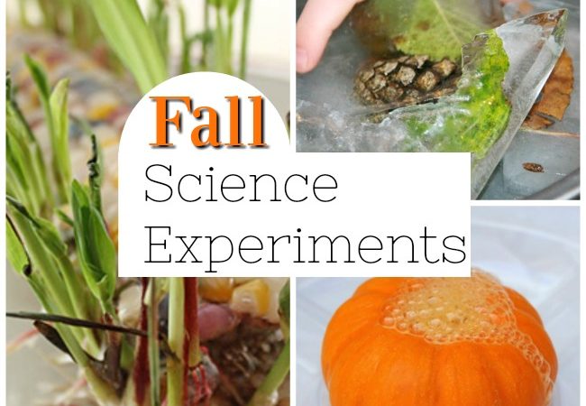 Awesome fall science experiments for kids! Fabulous STEM and STEAM ideas for the Autumn. #science #stem #steam #experiments #fall #autumn #preschool