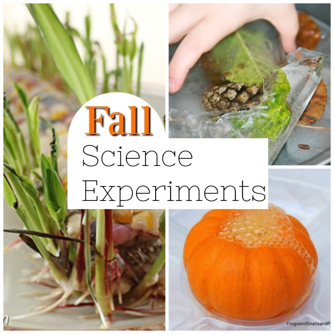 Awesome fall science experiments for kids! Fabulous STEM and STEAM ideas for the Autumn. #science #stem #steam #experiments #fall #autumn #preschool