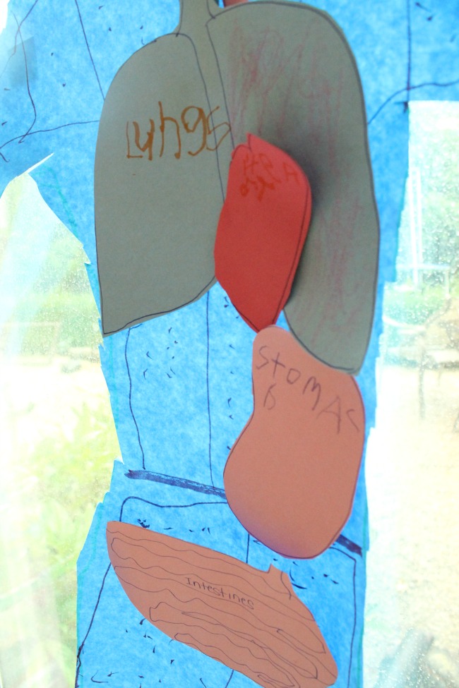 Learn all about the human body with this fun hands on science activity! Perfect for preschoolers through grade schoolers!