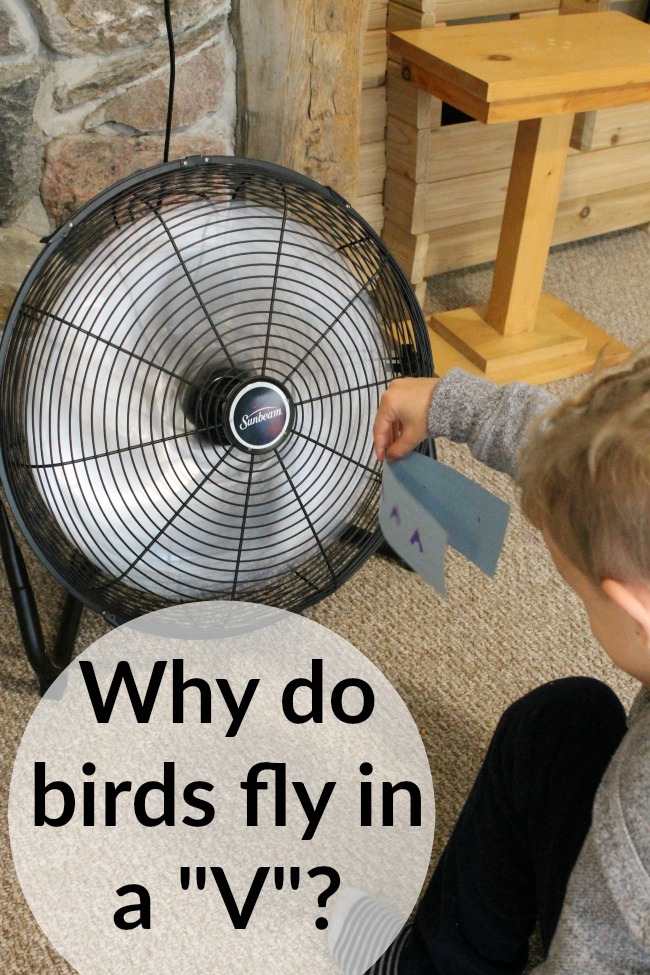 A great science experiment for kids! Why do birds migrate in the shape of a "v"? A great lesson on wind resistance!