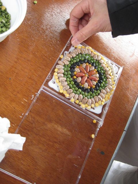 Beautiful seed art for kids using CD cases!