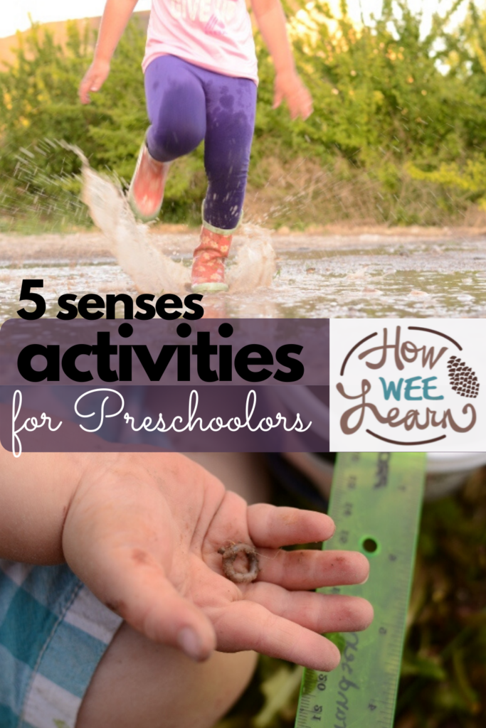 Love these 5 senses activities for preschoolers. Great nature and outdoor fun and perfect for summer!