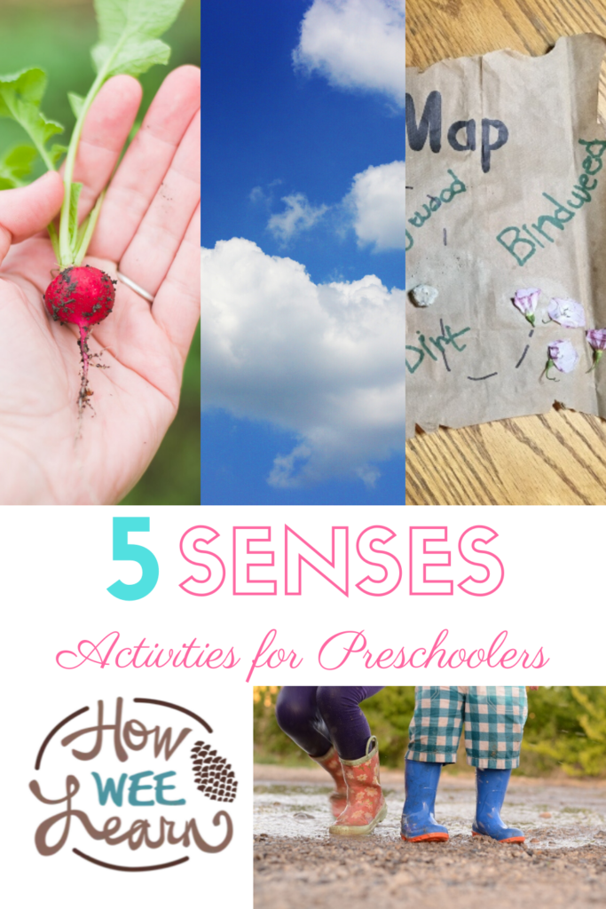 Love these 5 senses activities for preschoolers. Great nature and outdoor fun and perfect for summer!