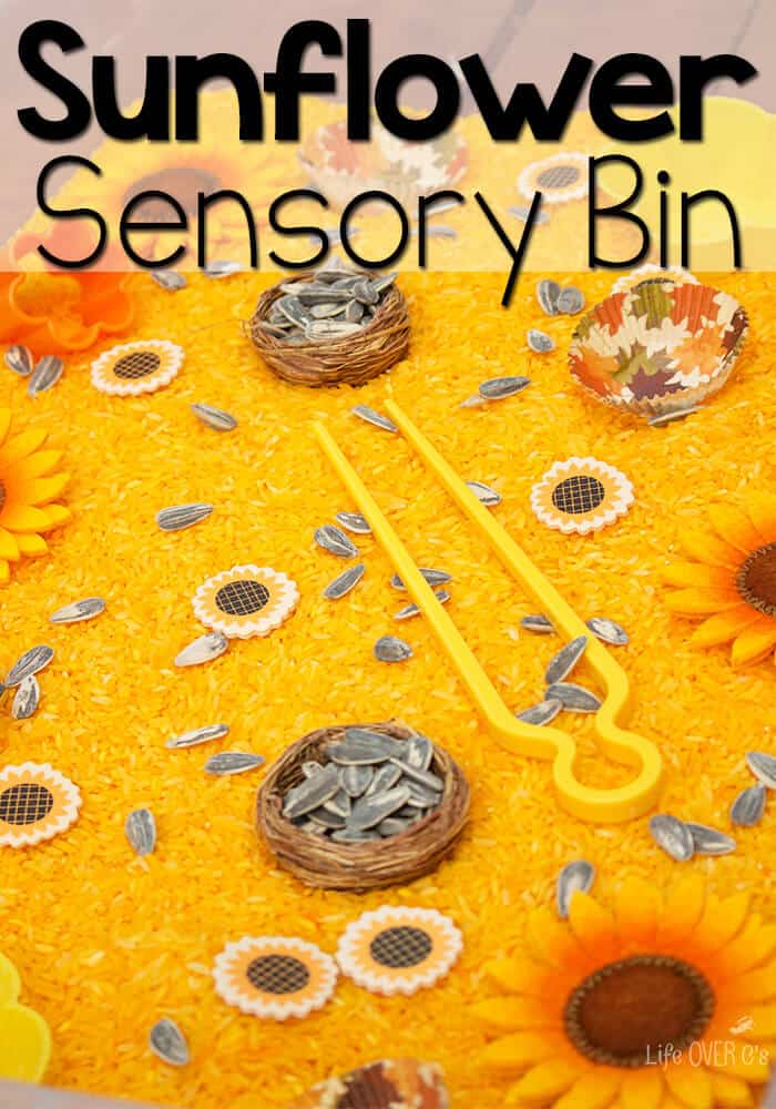 Sunflower Sensory Bin