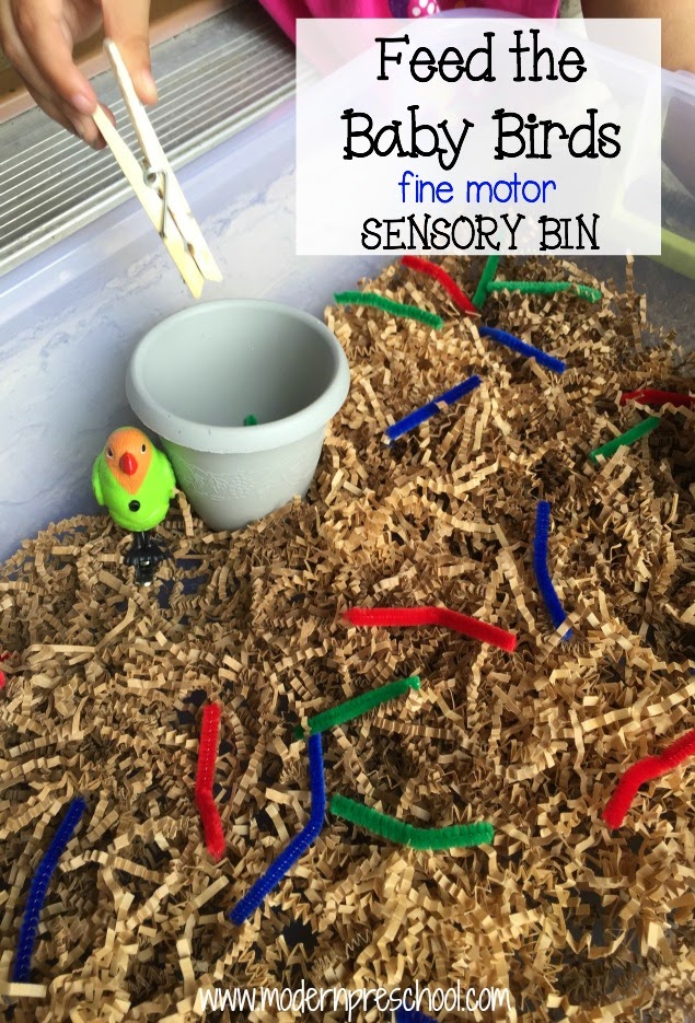 sensory bin ideas: feed the baby birds fine motor sensory bin