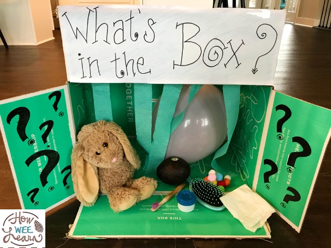 This fun sensory and vocabulary activity is such a great kindergarten development activity. The kids loved trying to figure out what each item was!