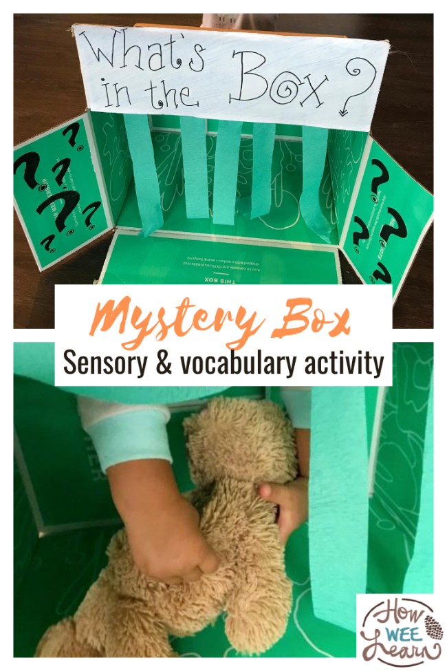 This fun sensory and vocabulary activity is such a great kindergarten development activity. The kids loved trying to figure out what each item was!