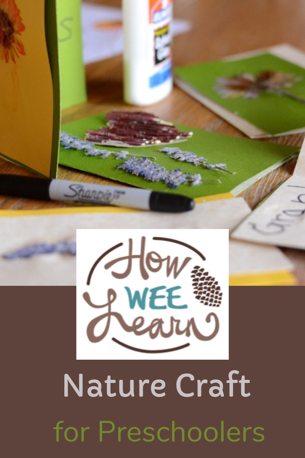 These nature cards are so gorgeous! Kids absolutely loved creating these cards and it's the perfect nature craft for preschoolers.