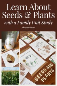 A sneak peak at TEN hands on activities that are included in this Seeds and Plants Unit Study! Learn all about the four classifications of plants, plant parts, seed parts, plant adaptations, spreading seeds, and get growing!