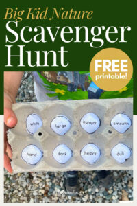 A fun scavenger hunt for big kids! This grade school scavenger hunt is perfect for homeschoolers. All you need is an egg carton for this printable nature scavenger hunt. Children will be building vocabulary and developing reading and oral language development too! This is a FREE 9 page printable scavenger hunt!