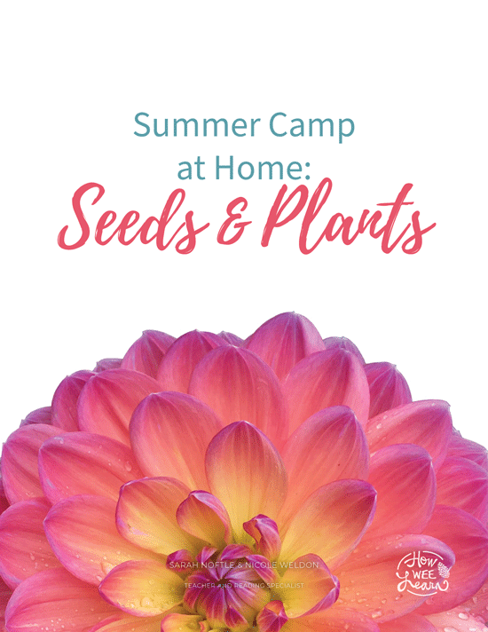 Summer Camp at Home: Seeds & Plants